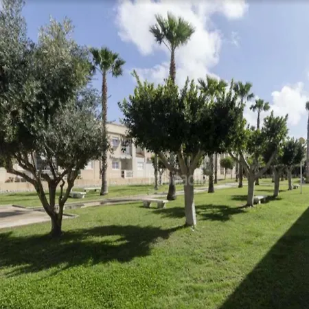 Luir Los Olivos